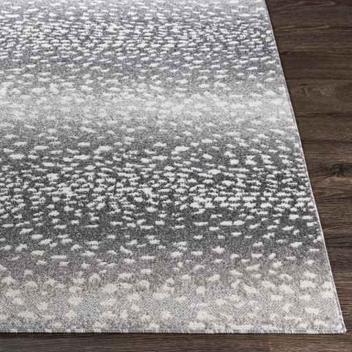 Surya Positano PSN-2313 Charcoal Gray 5'3" x 7'3" Rug