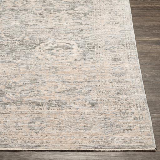 Surya Presidential PDT-2323 Cream Dusty Sage 3'3" x 10' Rug