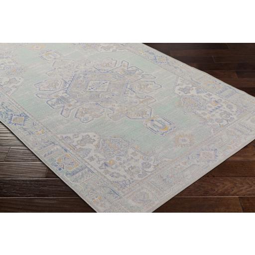 Surya Rafetus ETS-2364 Aqua Cream 2' x 2'11" Rug