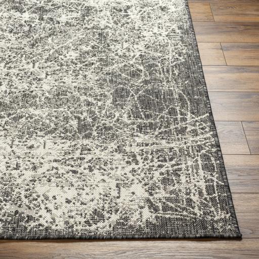 Surya Ravello RVL-2308 Black Ivory 2' x 2'11" Rug