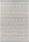 Surya Napoli Npo-2314 2' X 3' Rug