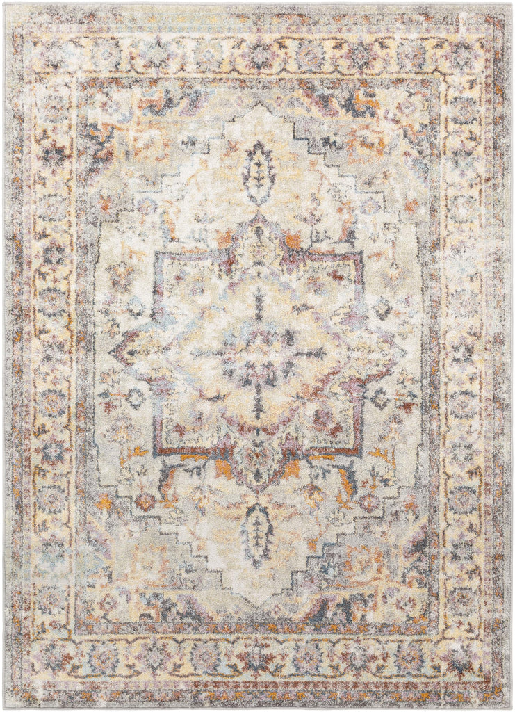 Surya New Mexico NWM-2305 2' x 3' Rug