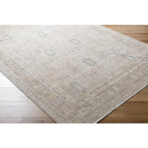 Surya Once Upon a Time OAT-2307 Gray Ivory 1'11" x 2'11" Rug