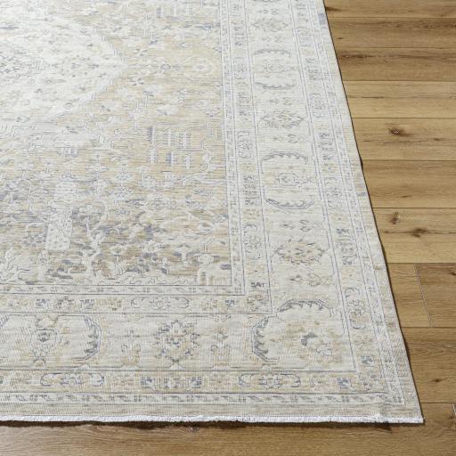 Surya Once Upon a Time OAT-2310 Gray Ivory 1'11" x 2'11" Rug