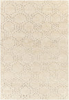 Surya Pampa Pap-1000 2' X 3' Rug