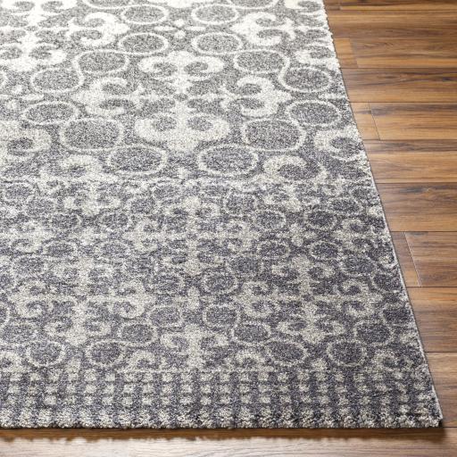 Surya Pembridge PBG-1000 Charcoal Ivory 2' x 3'7" Rug