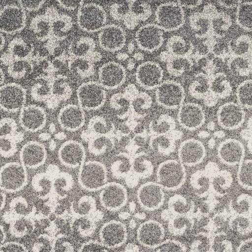 Surya Pembridge PBG-1000 Charcoal Ivory 2' x 3'7" Rug