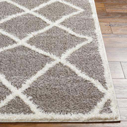 Surya Rodos RDO-2303 Charcoal White 6'7" x 9' Rug