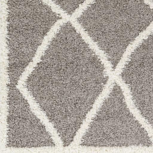 Surya Rodos RDO-2303 Charcoal White 6'7" x 9' Rug