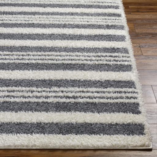 Surya Rodos RDO-2316 Charcoal White 6'7" x 9' Rug