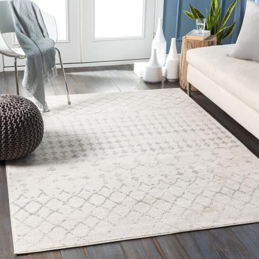 Surya Roma ROM-2343 Light Gray Medium Gray 7'10" Square Rug