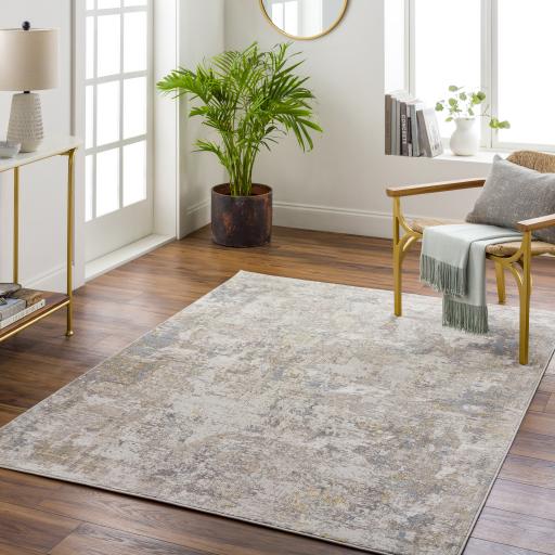 Surya Roswell RSW-2302 Beige Denim 5'3" x 7' Rug