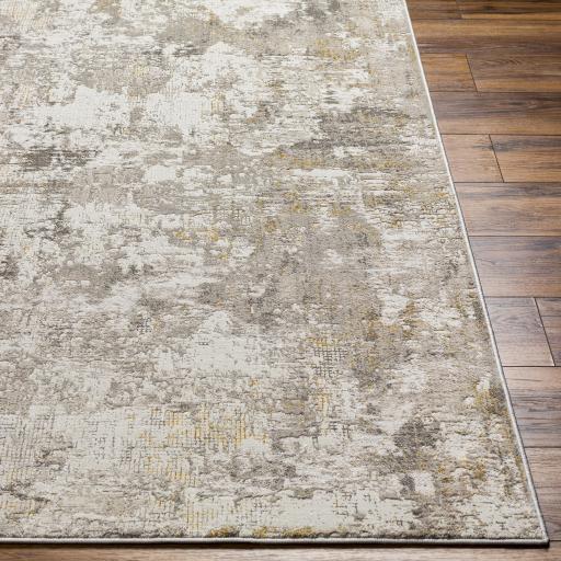 Surya Roswell RSW-2303 Beige Gray 5'3" x 7' Rug