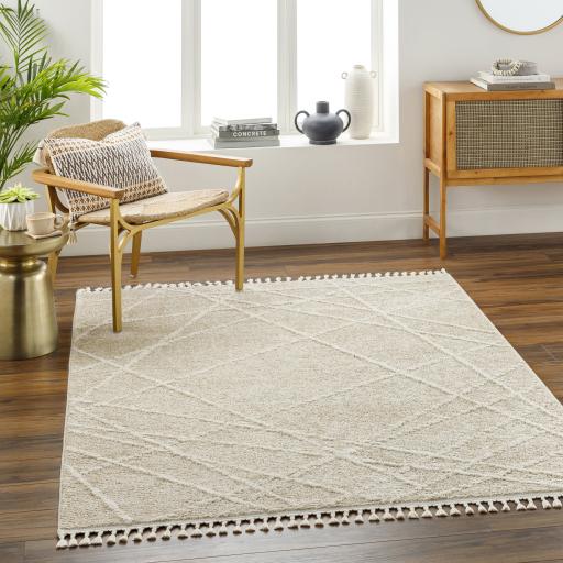 Surya Rudy RDY-2307 Cream Gray 5'3" x 7' Rug