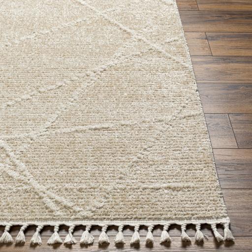 Surya Rudy RDY-2307 Cream Gray 5'3" x 7' Rug