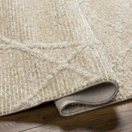 Surya Rudy RDY-2307 Cream Gray 5'3" x 7' Rug