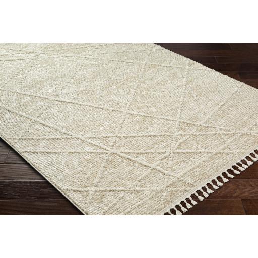 Surya Rudy RDY-2307 Cream Gray 5'3" x 7' Rug