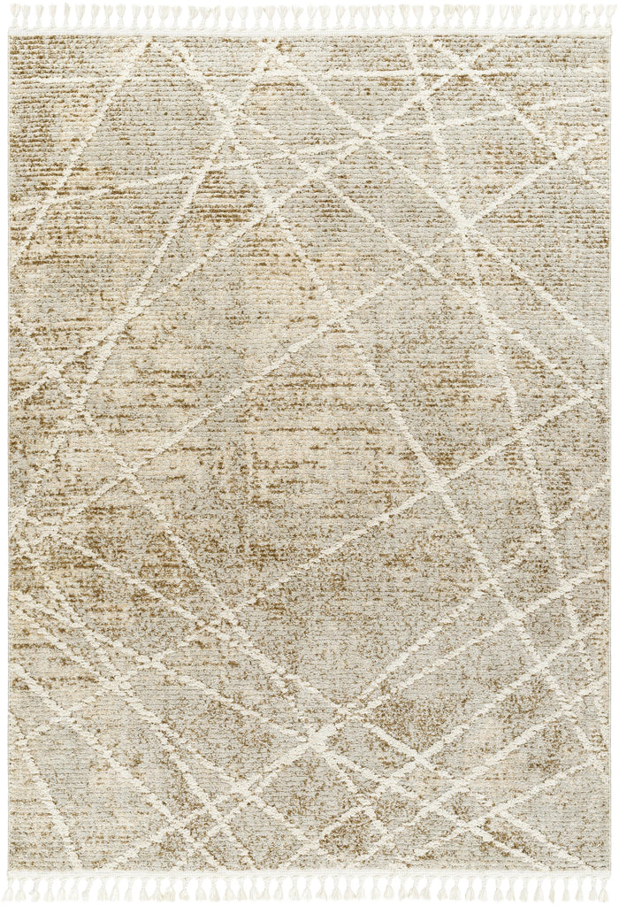 Surya Rudy RDY-2308 Cream Gray 2' x 2'11" Rug