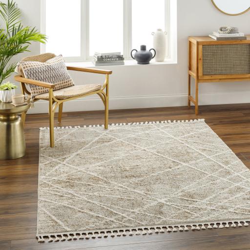 Surya Rudy RDY-2308 Cream Gray 2' x 2'11" Rug