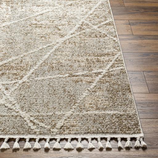 Surya Rudy RDY-2308 Cream Gray 2' x 2'11" Rug