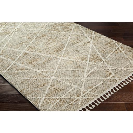 Surya Rudy RDY-2308 Cream Gray 2' x 2'11" Rug