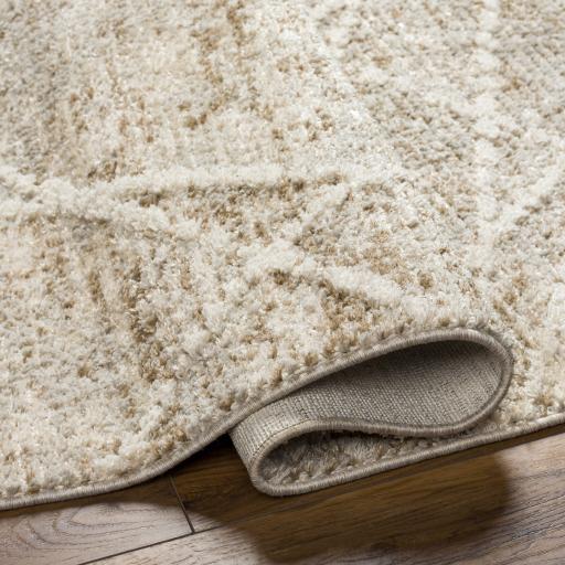 Surya Rudy RDY-2308 Cream Gray 9'2" x 12' Rug