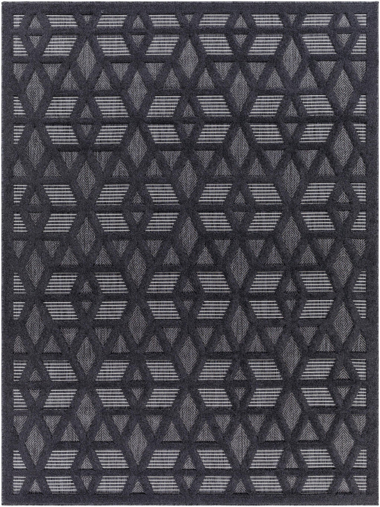 Surya San Diego SFG-2308 Black 5'3" x 7' Rug