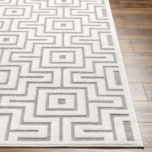 Surya San Diego SFG-2347 Gray Off-White 5'3" x 7' Rug