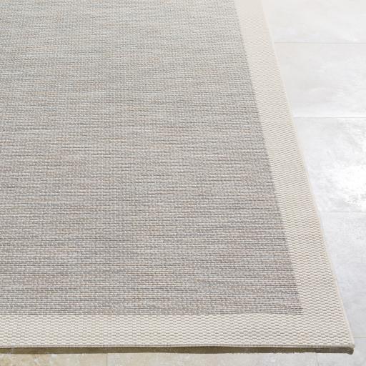 Surya Santa Cruz STZ-6002 Cream Taupe 2' x 3'7" Rug