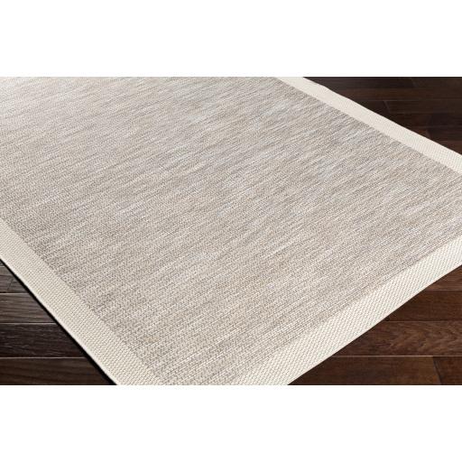 Surya Santa Cruz STZ-6002 Cream Taupe 2' x 3'7" Rug