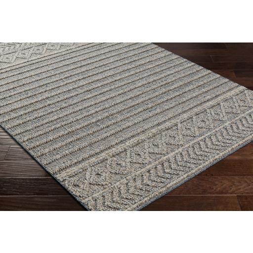 Surya Sarasota SSO-2304 Blue Light Gray 2' x 3'9" Rug