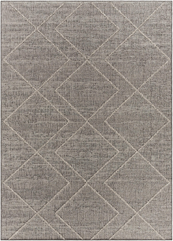 Surya Sarasota SSO-2306 Black Light Gray 2' x 3'9" Rug