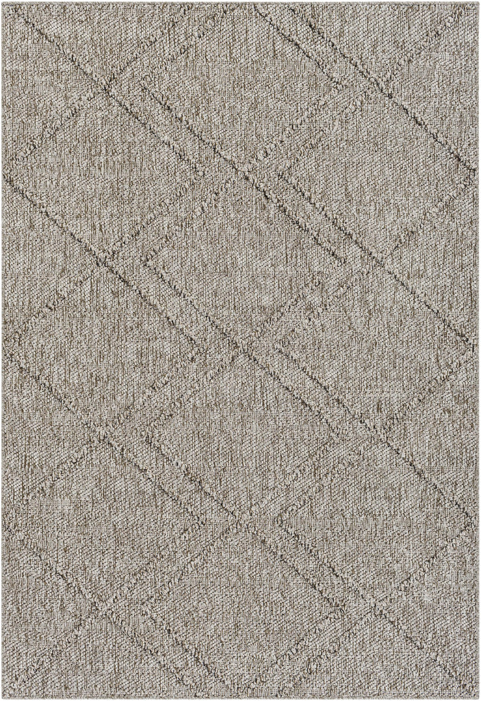 Surya Sarasota SSO-2307 Black Tan 2' x 3'9" Rug