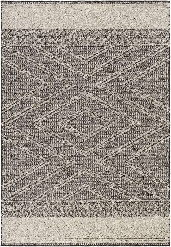 Surya Sarasota SSO-2309 2' x 3'9" Rug