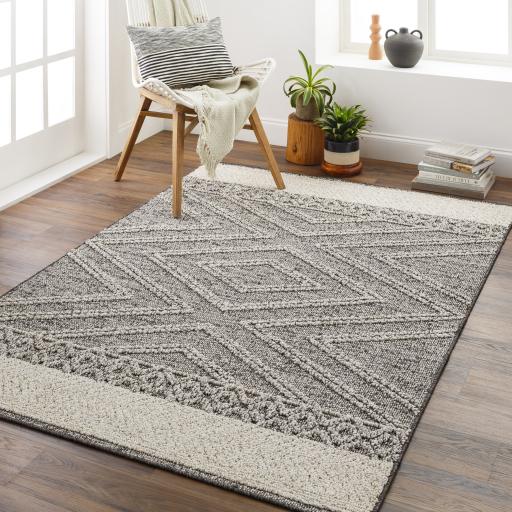 Surya Sarasota SSO-2309 Black Light Gray 2' x 3'9" Rug