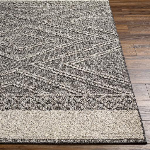 Surya Sarasota SSO-2309 Black Light Gray 2' x 3'9" Rug