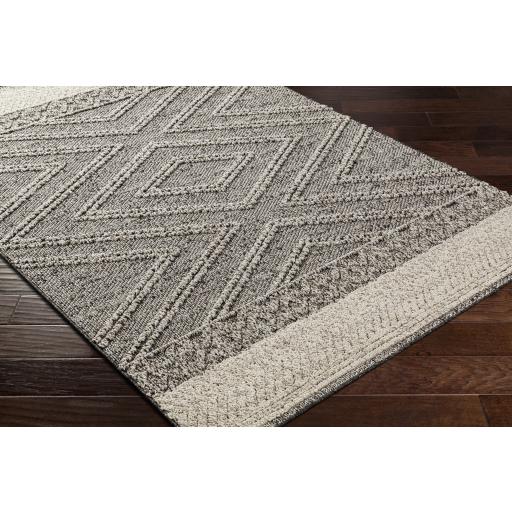 Surya Sarasota SSO-2309 Black Light Gray 2' x 3'9" Rug