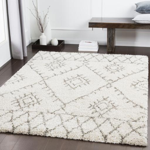 Surya Serengeti Shag SGT-2301 Charcoal Ivory 2' x 2'11" Rug