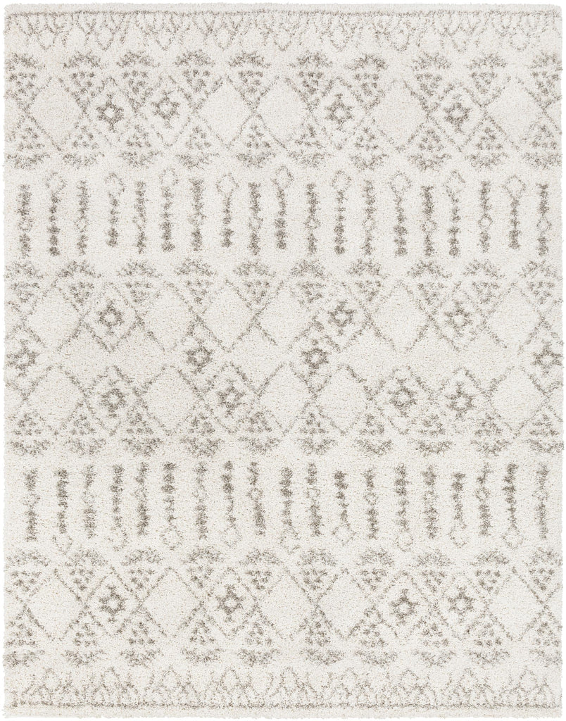 Surya Serengeti Shag SGT-2314 Charcoal Ivory 2' x 3' Rug