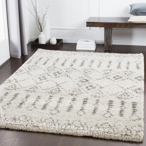 Surya Serengeti Shag SGT-2314 Charcoal Ivory 2' x 3' Rug