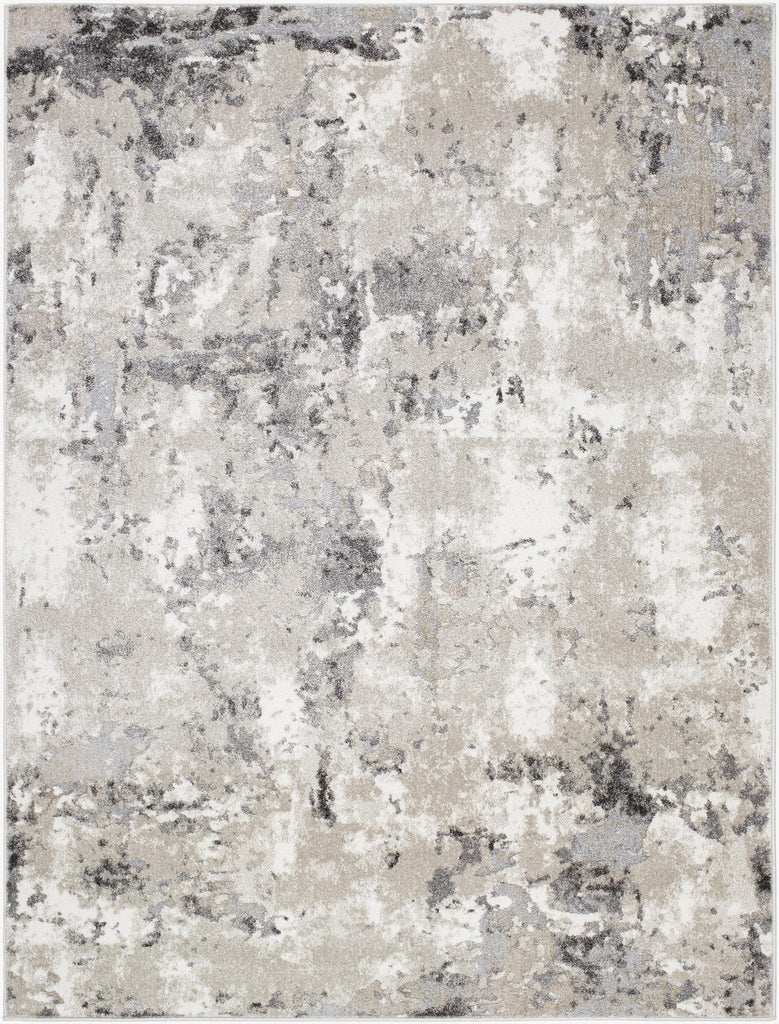 Surya Soldado SOD-2301 2' x 2'11" Rug