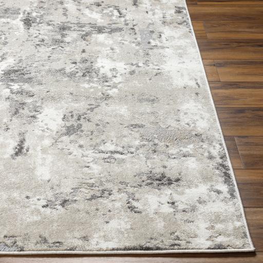 Surya Soldado SOD-2301 Light Brown Medium Gray 2' x 2'11" Rug