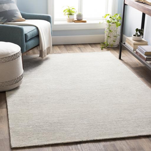 Surya Strada SDA-2301 Cream Gray 2' x 3' Rug