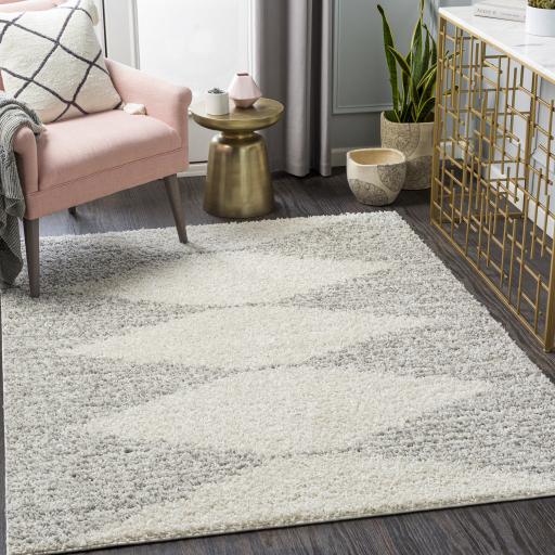 Surya Taza Shag TZS-2310 Cream Gray 6'7" x 9' Rug