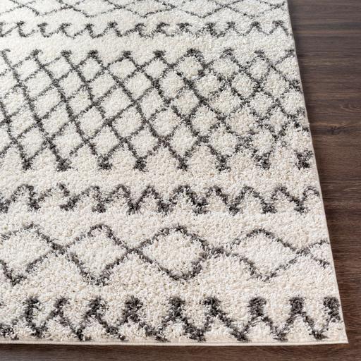 Surya Taza Shag TZS-2310 Cream Gray 6'7" x 9' Rug