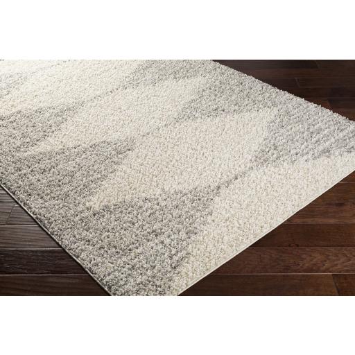 Surya Taza Shag TZS-2310 Cream Gray 6'7" x 9' Rug