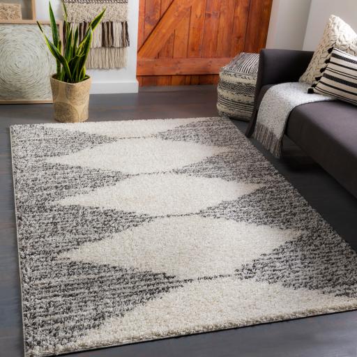 Surya Taza Shag TZS-2311 Black Ivory 5'2" x 7' Rug