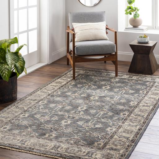 Surya Theodora THO-3001 Dark Brown Light Gray 10' x 14' Rug