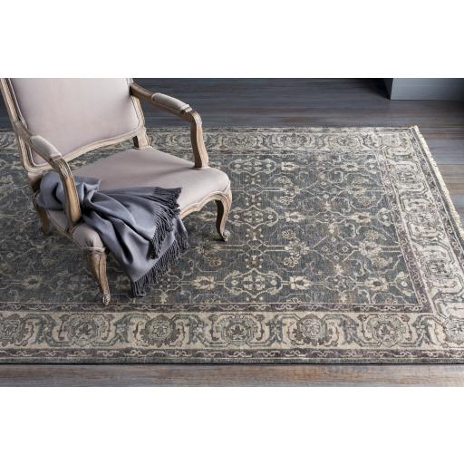 Surya Theodora THO-3001 Dark Brown Light Gray 10' x 14' Rug