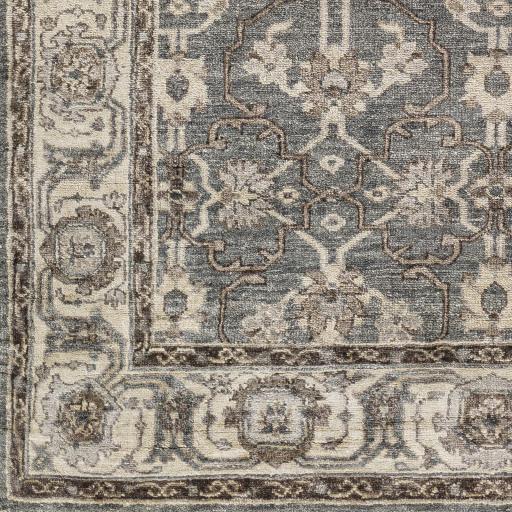 Surya Theodora THO-3001 Dark Brown Light Gray 10' x 14' Rug